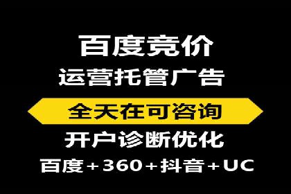 百度推广策略揭秘：某行业领头羊的成功经验